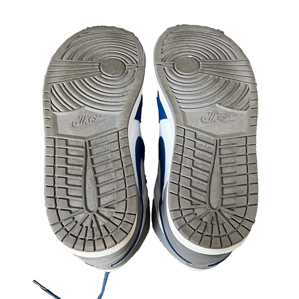 Air Jordan 1 True Blue