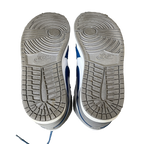 Air Jordan 1 True Blue